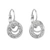 Boucles d'oreilles Cercles entrelaces petit crochet Cristal